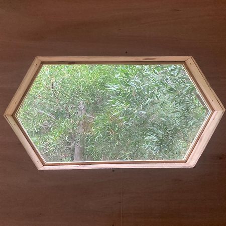 Casa Hobbit Βίλα Μαρ ντελ Πλάτα Εξωτερικό φωτογραφία